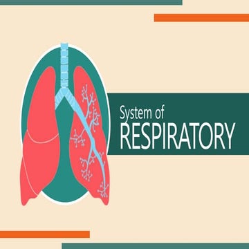 Respiratory System.pptx