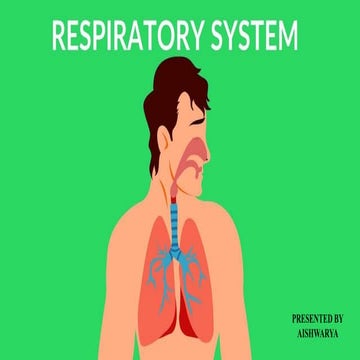 Respiratory system.pptx