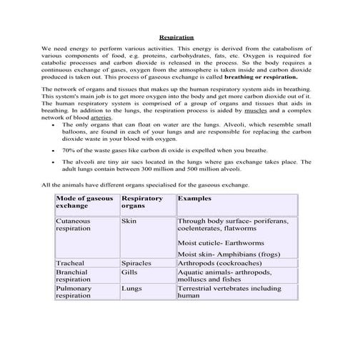 (Human Physiology) Respiratory System.docx