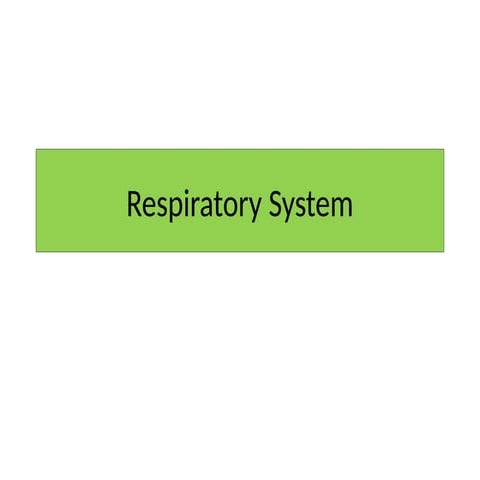 Anatomy and physiology of Respiratory system.pptx