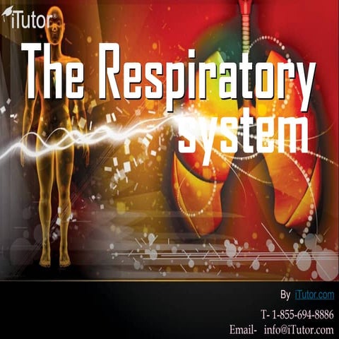 RESPIRATORY SYSTEM- REFERENCES.pptx..................