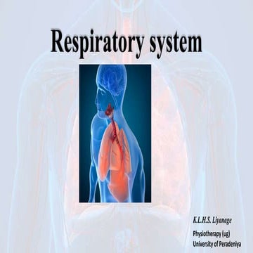 Respiratory system 006 and final .pptx