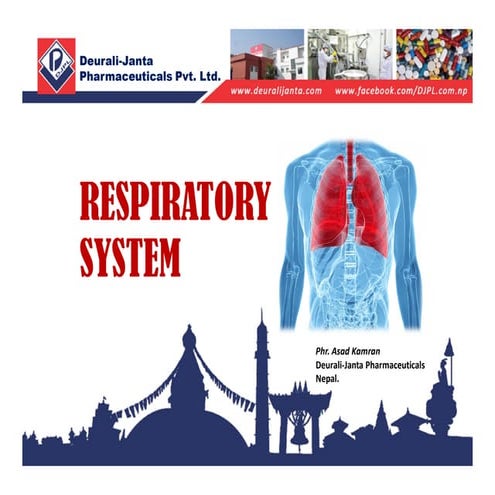 Respiratory System