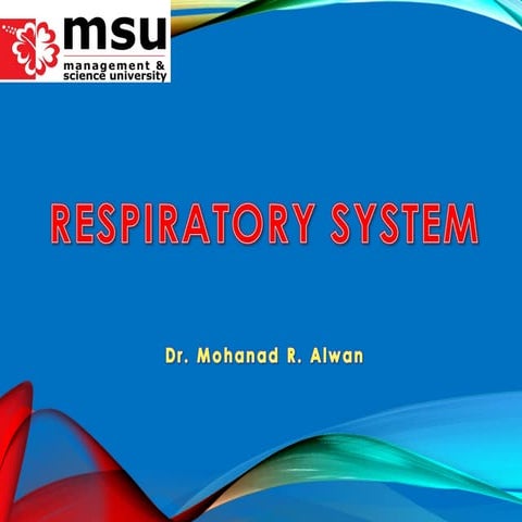 Upper respiratory system- anatomy