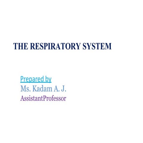 UNIT 6-respiratory system for Gnm and b.sc. nursing | PPTX