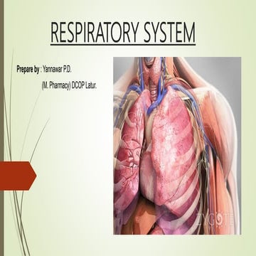 respiratory system (1) (1).pptx