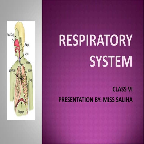 Respiratory system with objectives, by Saliha Rais
