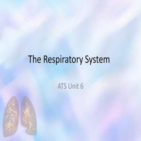 Respiratory System EHS Unit 5