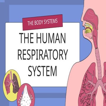 Respiratory System (Enhanced Science 9 Class).pptx