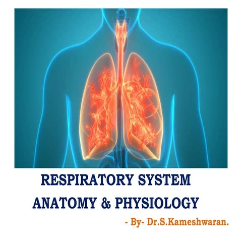 HUMAN RESPIRATORY SYSTEM ANATOMY & PHYSIOLOGY