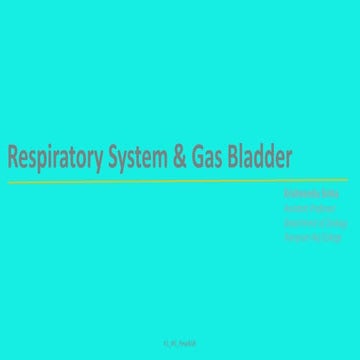 Respiratory system & gas bladder