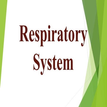 Respiratory System GRADE 6.pptx
