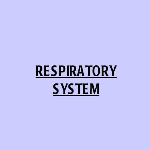 Respiratory system  in mammals