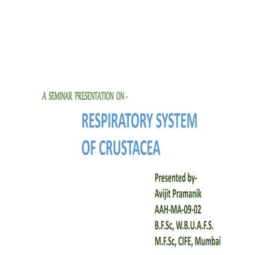 Respiratory system of crustacea