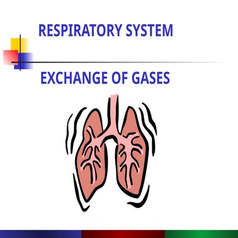Respiratory System Powerpoint 2015 Ppt