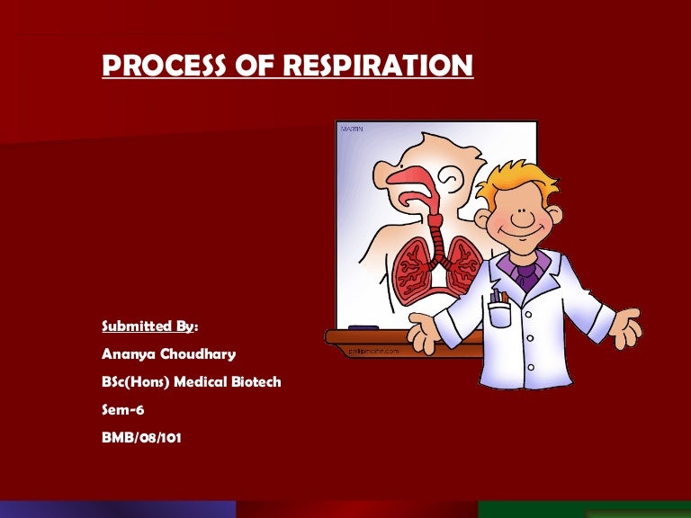respiratory system powerpoint