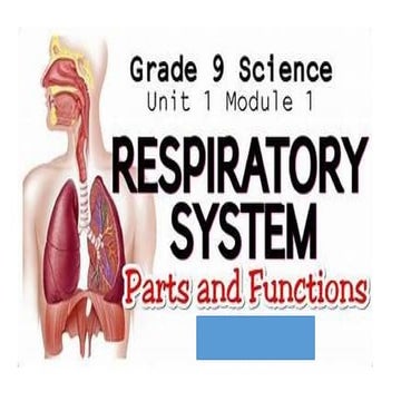 PARTS AND FUNCTION OF THE RESPIRATORY SYSTEM  PPT.pptx