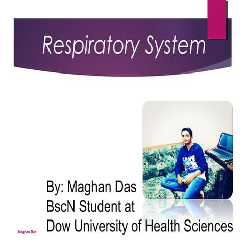 Respiratory system presenation by maghan das