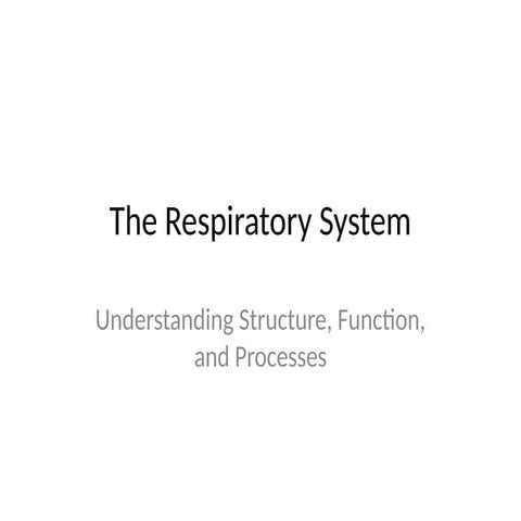 Respiratory_System_Powerpoint Presentation.pptx