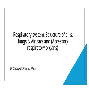 Respiratory system structure of gills, lungs & air sacs; accessory respirator...