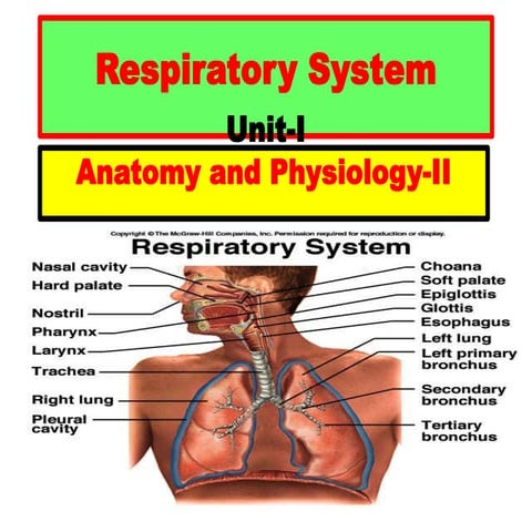 Respiratory System unit-I cop.pptx