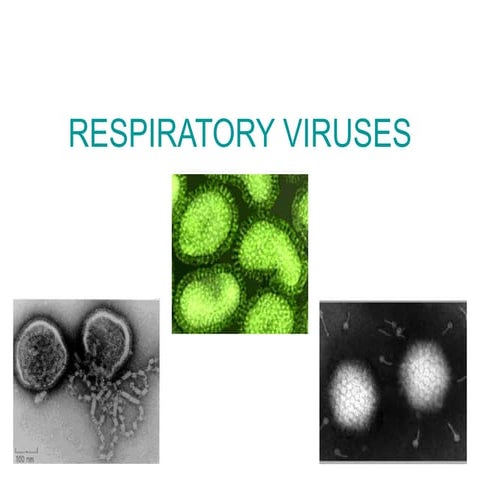 Respiratory viruses infections in children