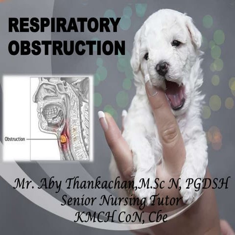 Respiratory obstruction / Airway Obstruction 