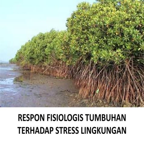 Respon fisiologi thdp cekaman (9)