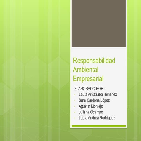 Responsabilidad ambiental empresarial