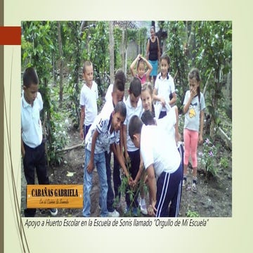 Cabañas Gabriela - Responsabilidad social