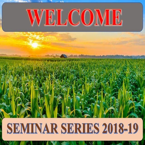 Response of maize to biofertilizers