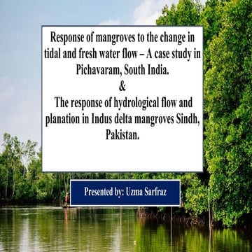 Response of Mangroves to the Change in Tidal and Freshwater Flow. | PPTX