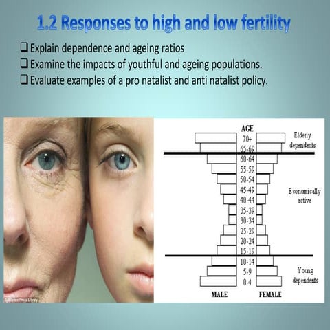 Responses to high and low fertility overview