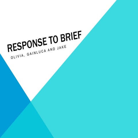 Response to brief 