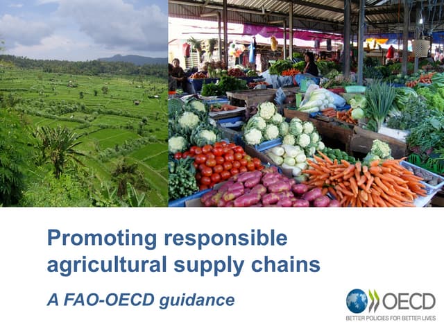 Promoting responsible agricultural supply chains