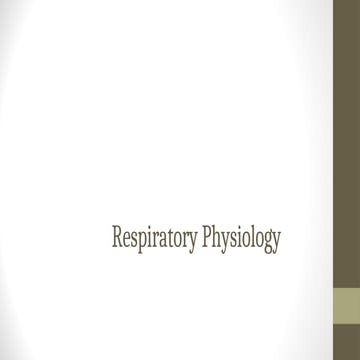 Respirtory system physiology and the functions