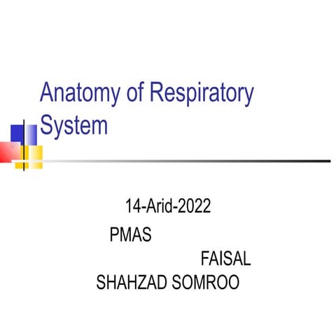 Urinary system of goat 1 | PPTX