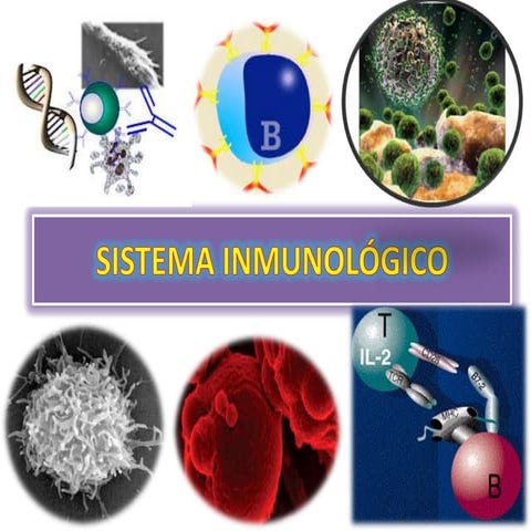 Respuesta inmunitaria