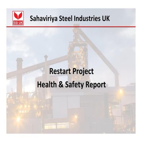 Restart Project Summary Safety Report 2
