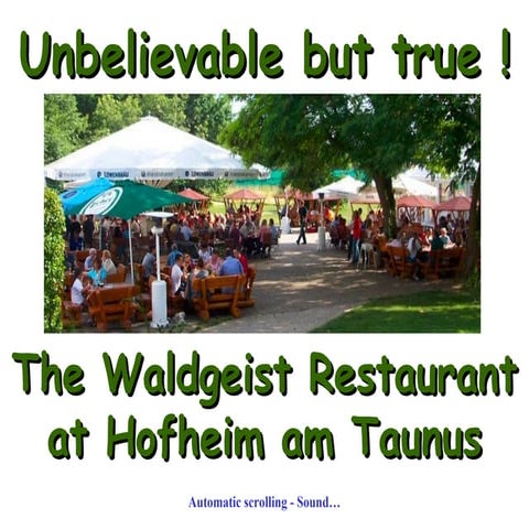 Restaurant Waldgeist