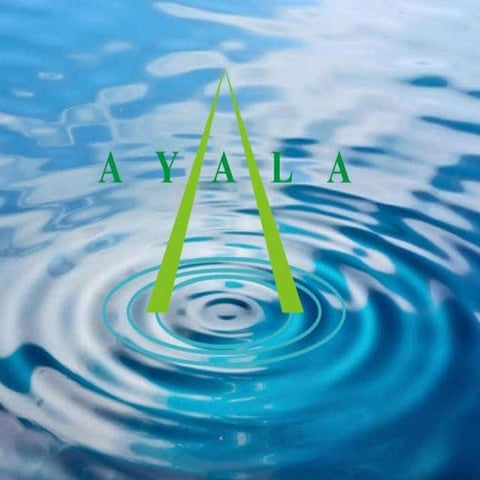 Restoration of Urban Blue Acres_Ayala