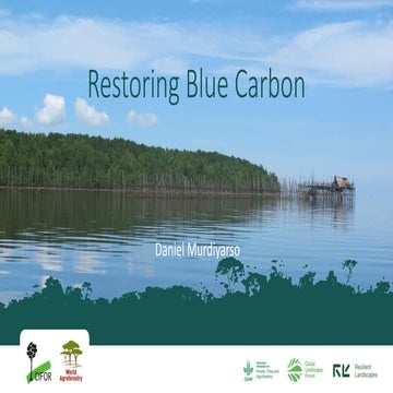 Restoring blue carbon