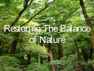 restoringthebalanceofnature-140127151808