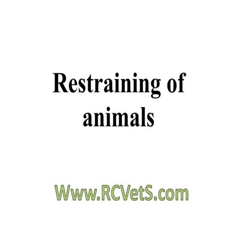 Restraining of Animals