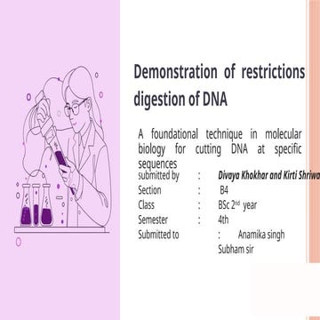 Restriction Digestion | PDF