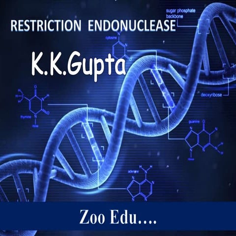 restriction endonuclease.  an enzyme for getting fragment of DNA for manipula...