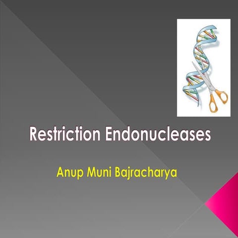 Restriction endonucleases
