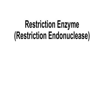 Restriction Enzyme (Restriction Endonuclease) Definition.pptx