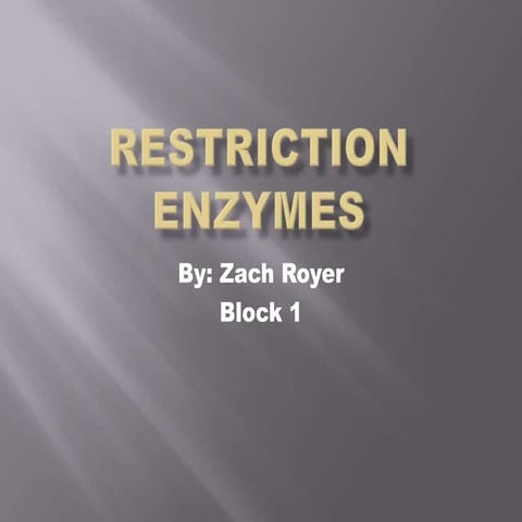 Restriction enzymes
