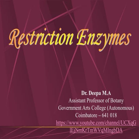 Restriction enzymes